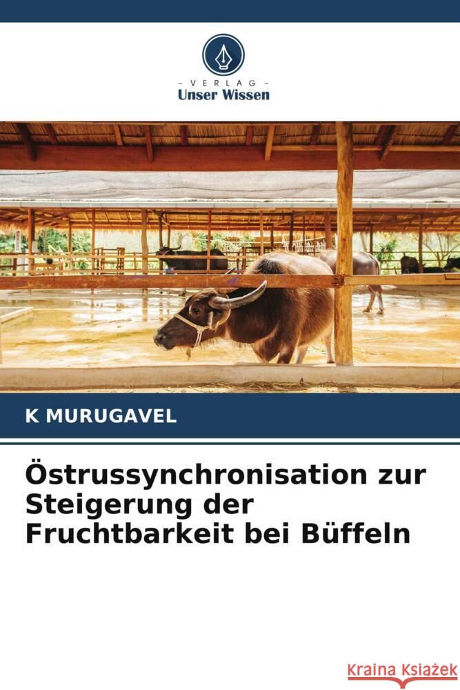 Östrussynchronisation zur Steigerung der Fruchtbarkeit bei Büffeln MURUGAVEL, K 9786203495119