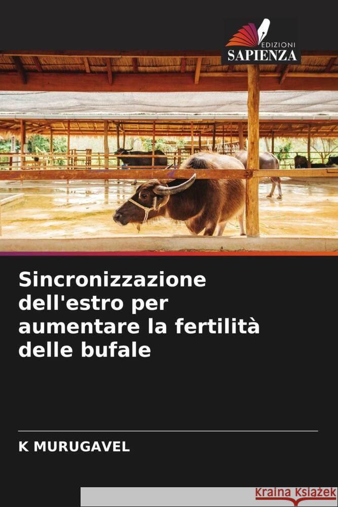 Sincronizzazione dell'estro per aumentare la fertilità delle bufale MURUGAVEL, K 9786203495508