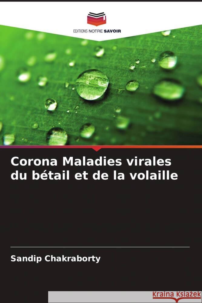 Corona Maladies virales du bétail et de la volaille Chakraborty, Sandip 9786203562293