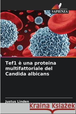 Tef1 è una proteina multifattoriale del Candida albicans Linden, Justus 9786203573251