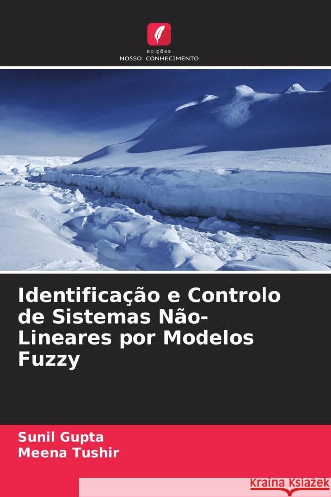 Identificação e Controlo de Sistemas Não-Lineares por Modelos Fuzzy Gupta, Sunil, Tushir, Meena 9786203592429