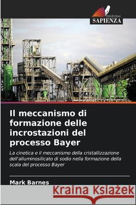 Il meccanismo di formazione delle incrostazioni del processo Bayer Barnes, Mark 9786203705379
