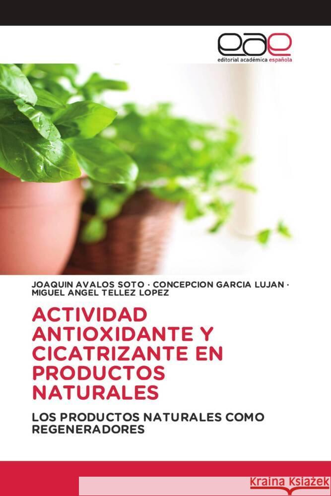 ACTIVIDAD ANTIOXIDANTE Y CICATRIZANTE EN PRODUCTOS NATURALES Ávalos Soto, Joaquín, García Luján, Concepción, Téllez López, Miguel Angel 9786203877953