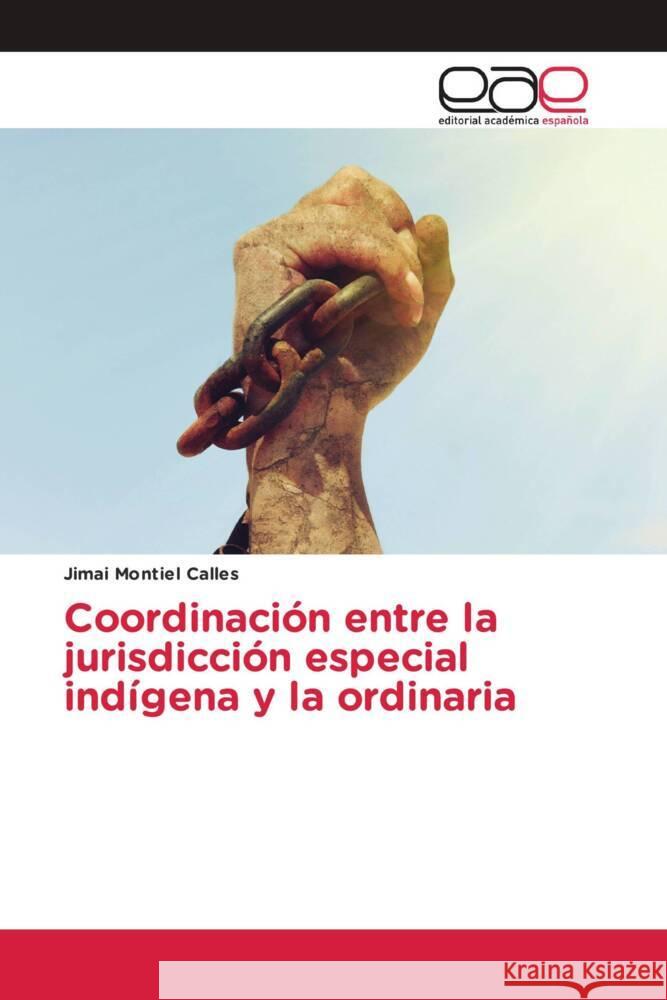 Coordinación entre la jurisdicción especial indígena y la ordinaria Montiel Calles, Jimai 9786203878769