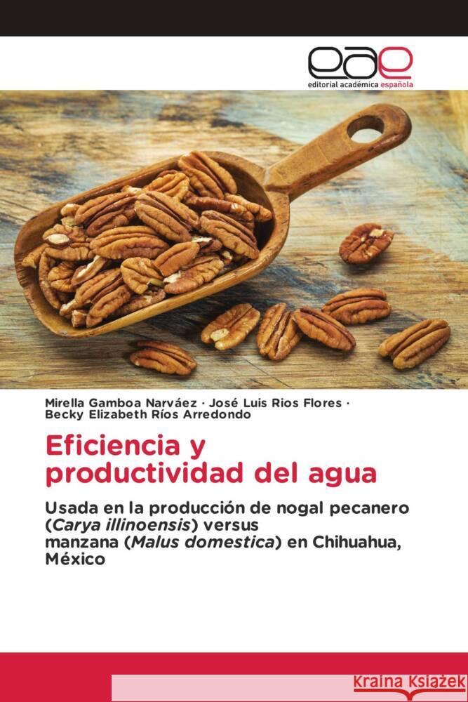 Eficiencia y productividad del agua Gamboa Narváez, Mirella, Ríos Flores, José Luis, Ríos Arredondo, Becky Elizabeth 9786203887532 Editorial Académica Española