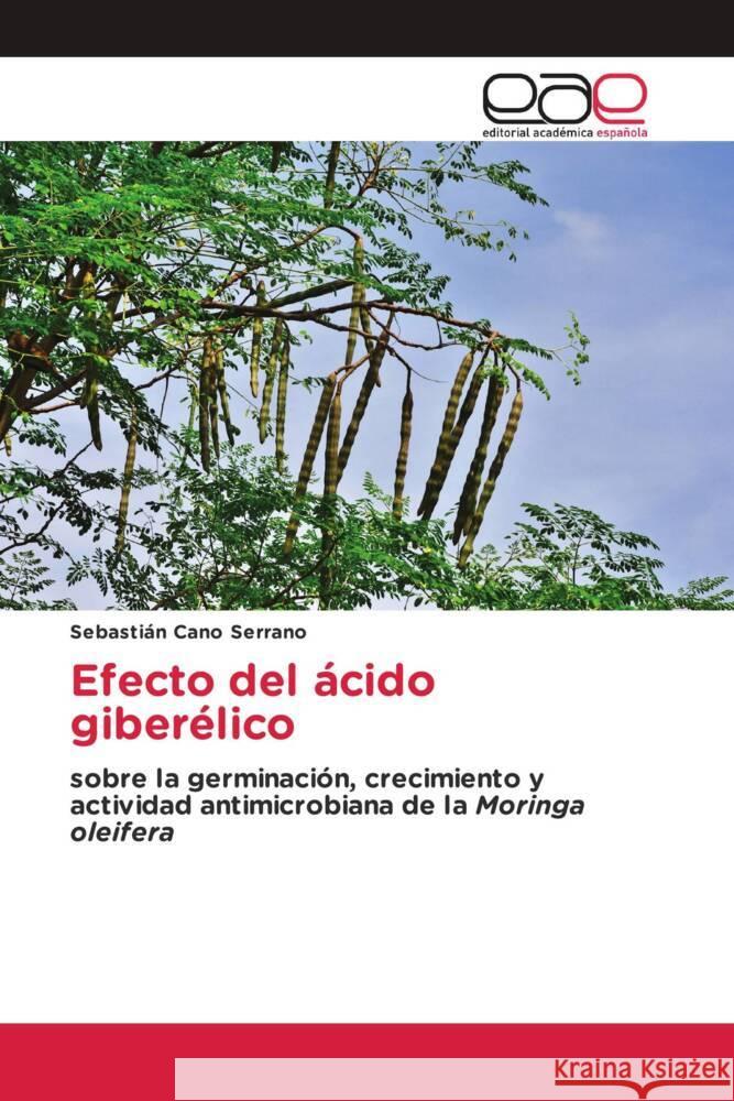 Efecto del ácido giberélico Cano Serrano, Sebastián 9786203887938 Editorial Académica Española