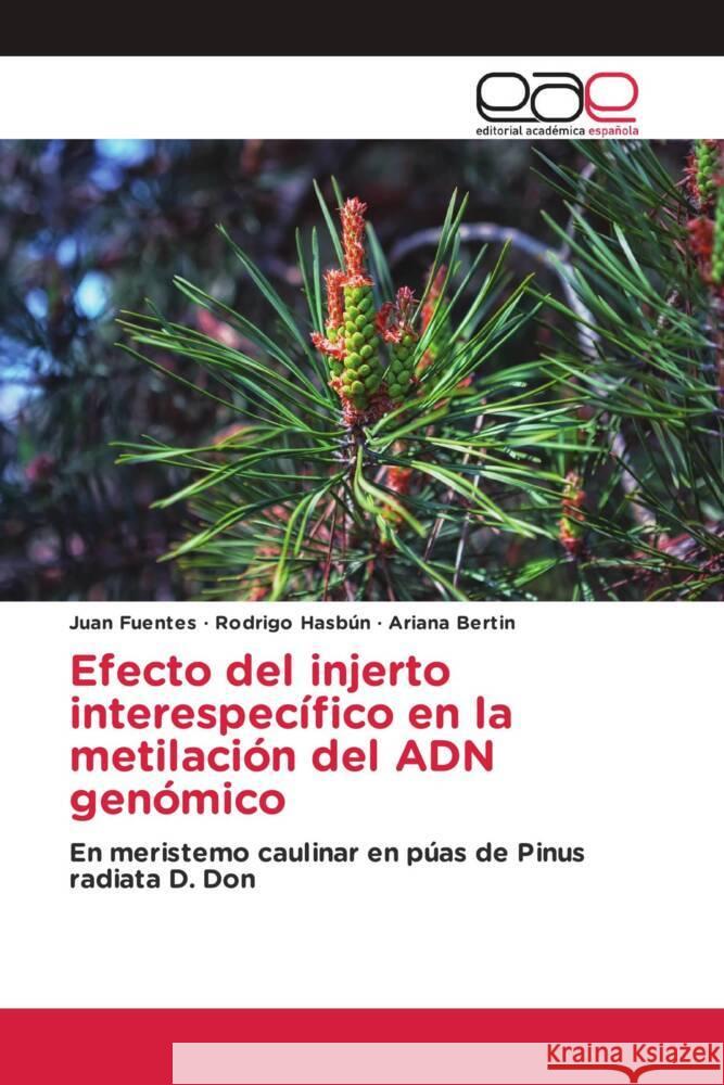 Efecto del injerto interespecífico en la metilación del ADN genómico Fuentes, Juan, Hasbún, Rodrigo, Bertin, Ariana 9786203888171