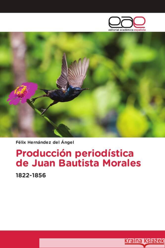 Producción periodística de Juan Bautista Morales Hernández del Ángel, Félix 9786203888348