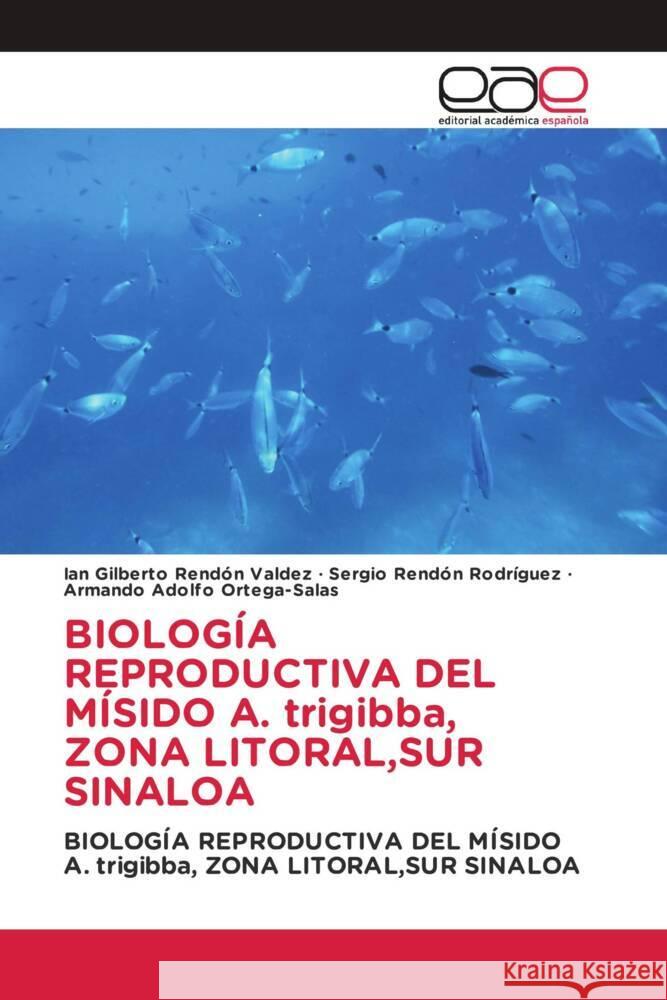 BIOLOGÍA REPRODUCTIVA DEL MÍSIDO A. trigibba, ZONA LITORAL,SUR SINALOA Rendón Valdez, Ian Gilberto, Rendón Rodríguez, Sergio, Ortega-Salas, Armando Adolfo 9786203888706