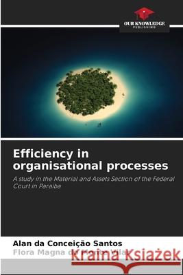 Efficiency in organisational processes Santos, Alan da Conceição, Vilar, Flora Magna do Monte 9786203916270