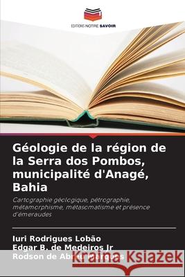 Géologie de la région de la Serra dos Pombos, municipalité d'Anagé, Bahia Rodrigues Lobão, Iuri, de Medeiros Jr, Edgar B., de Abreu Marques, Rodson 9786203921342