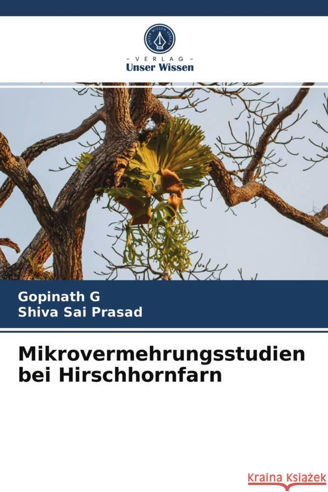 Mikrovermehrungsstudien bei Hirschhornfarn G, Gopinath, Prasad, Shiva Sai 9786204010922