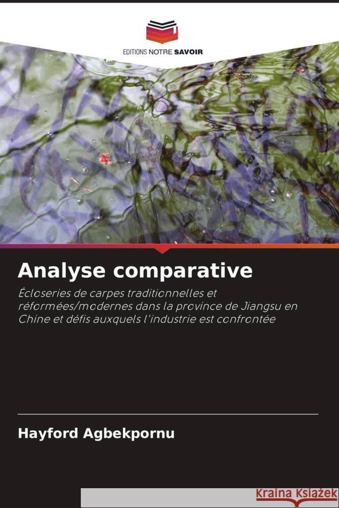 Analyse comparative Agbekpornu, Hayford 9786204026886