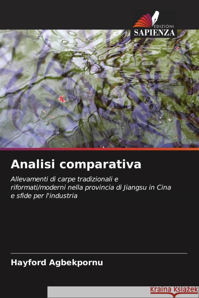 Analisi comparativa Agbekpornu, Hayford 9786204027012