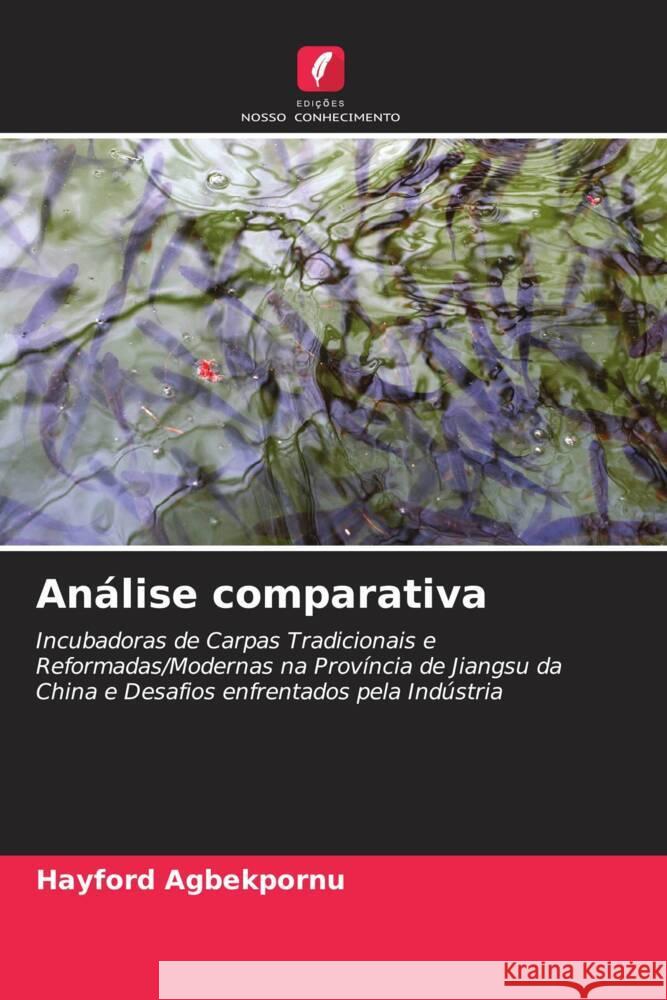 Análise comparativa Agbekpornu, Hayford 9786204027029