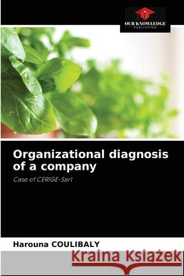 Organizational diagnosis of a company Harouna Coulibaly 9786204046129