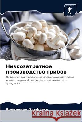 Низкозатратное производство гр&# Койеникан Олуфунке 9786204067193 Sciencia Scripts