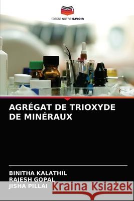 Agrégat de Trioxyde de Minéraux Binitha Kalathil, Rajesh Gopal, Jisha Pillai 9786204067988