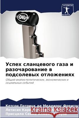 Успех сланцевого газа и р де Мед 9786204097176 Sciencia Scripts