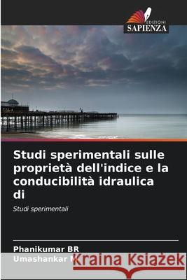 Studi sperimentali sulle proprietà dell'indice e la conducibilità idraulica di Br, Phanikumar 9786204115368 Edizioni Sapienza