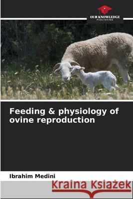 Feeding & physiology of ovine reproduction Ibrahim Medini 9786204169125 Our Knowledge Publishing
