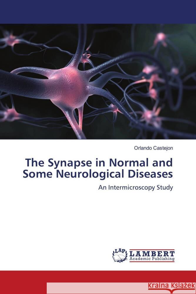 The Synapse in Normal and Some Neurological Diseases Castejon, Orlando 9786204198590 LAP Lambert Academic Publishing