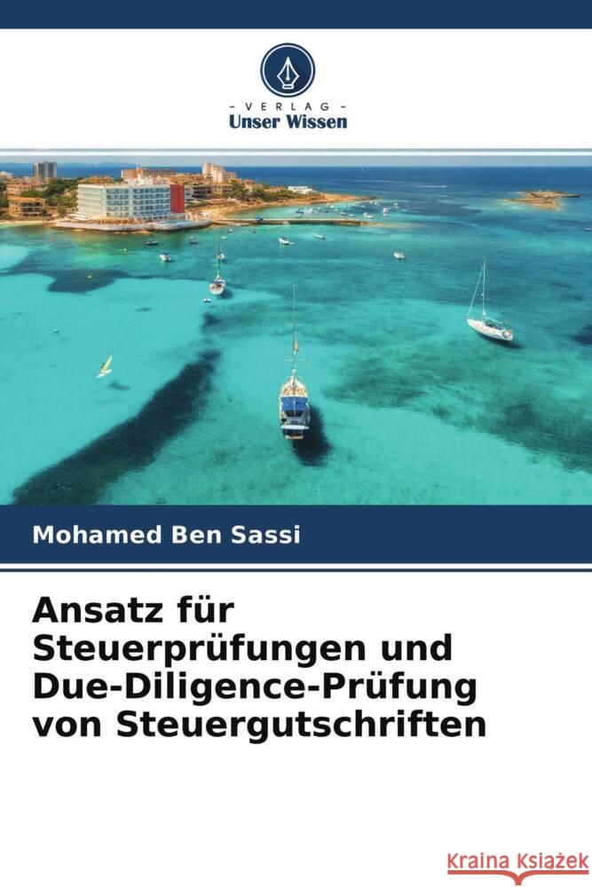 Ansatz für Steuerprüfungen und Due-Diligence-Prüfung von Steuergutschriften Ben Sassi, Mohamed 9786204246925