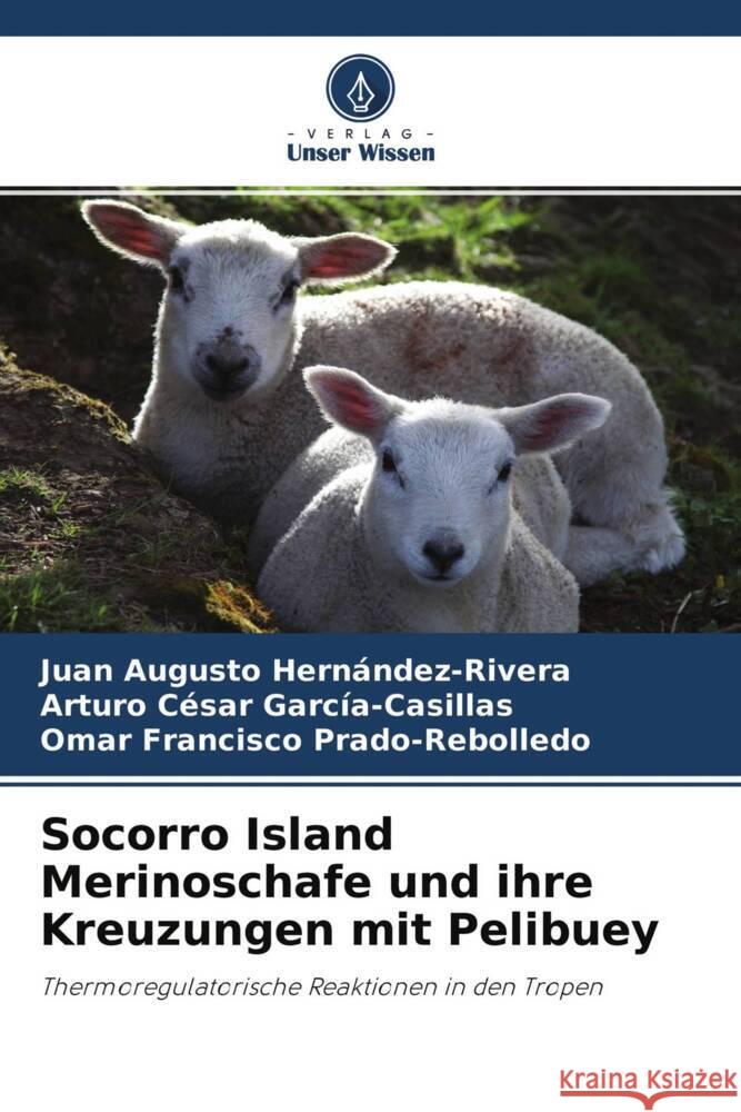 Socorro Island Merinoschafe und ihre Kreuzungen mit Pelibuey Hernández-Rivera, Juan Augusto, García-Casillas, Arturo César, Prado-Rebolledo, Omar Francisco 9786204291727