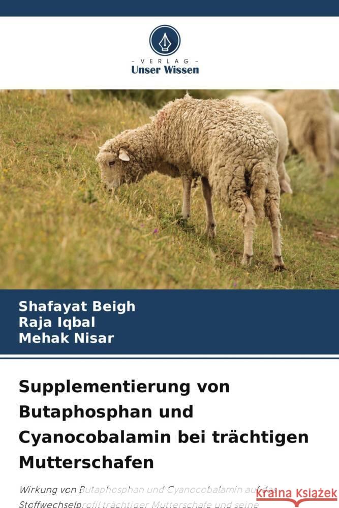 Supplementierung von Butaphosphan und Cyanocobalamin bei tr?chtigen Mutterschafen Shafayat Beigh Raja Iqbal Mehak Nisar 9786204305509