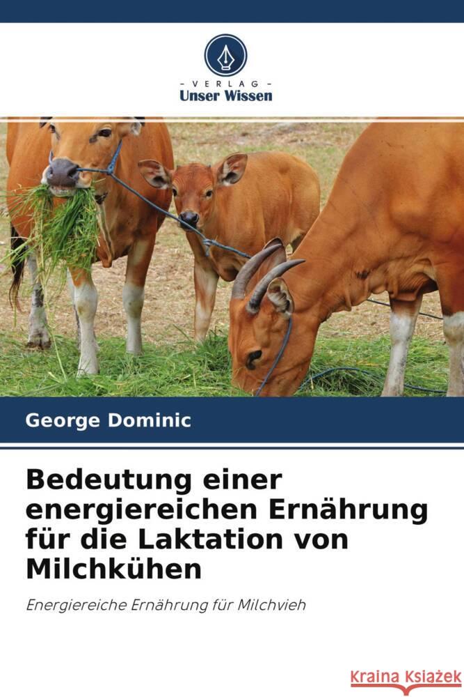 Bedeutung einer energiereichen Ernährung für die Laktation von Milchkühen Dominic, George 9786204321318