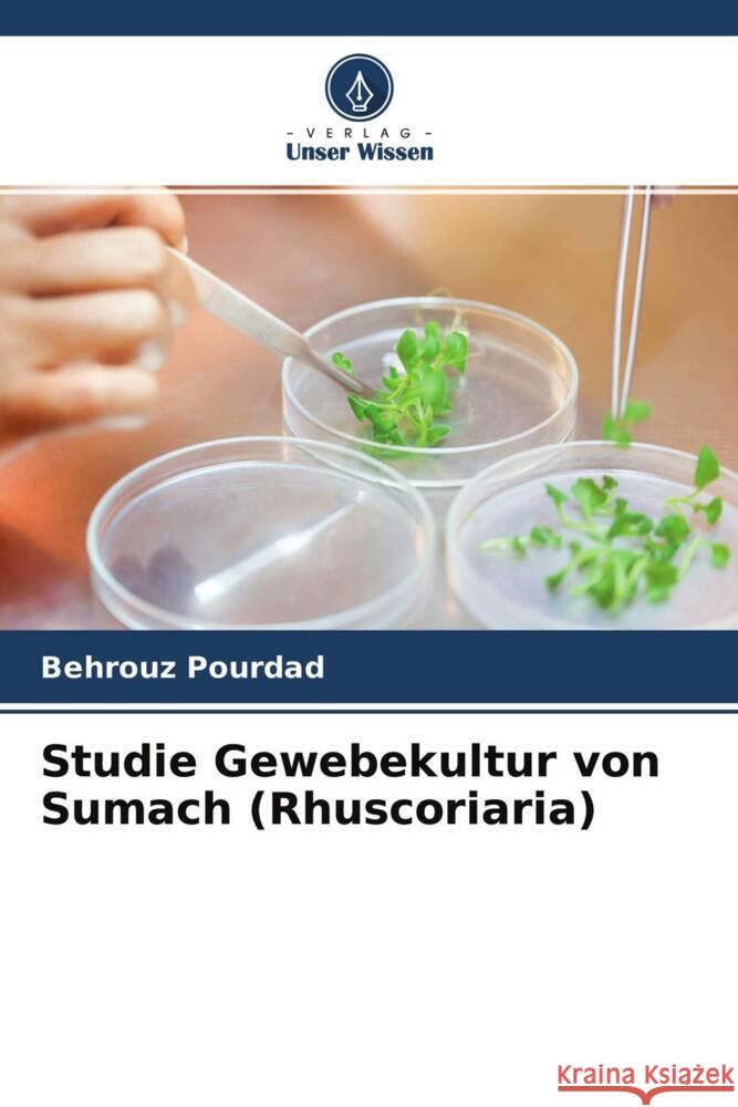 Studie Gewebekultur von Sumach (Rhuscoriaria) Pourdad, Behrouz 9786204339894