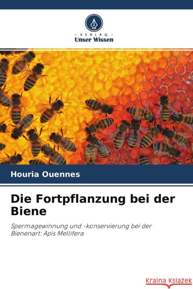 Die Fortpflanzung bei der Biene Ouennes, Houria 9786204341927