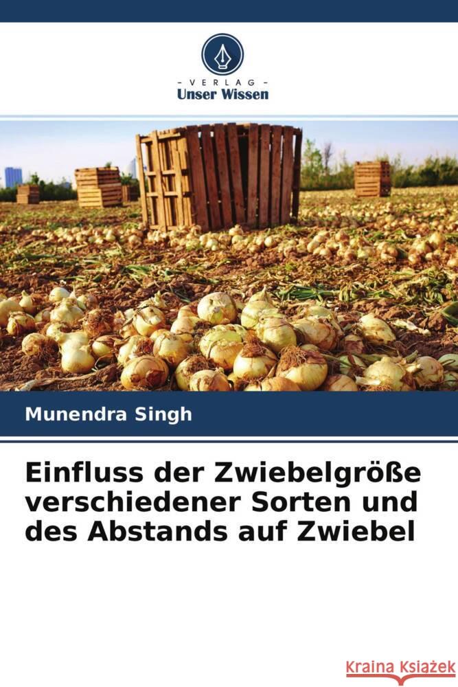 Einfluss der Zwiebelgröße verschiedener Sorten und des Abstands auf Zwiebel Singh, Munendra 9786204375120 Verlag Unser Wissen