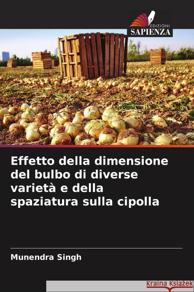 Effetto della dimensione del bulbo di diverse varietà e della spaziatura sulla cipolla Singh, Munendra 9786204375151 Edizioni Sapienza