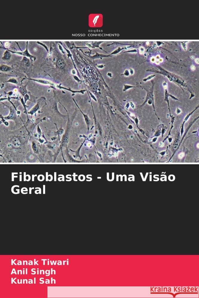 Fibroblastos - Uma Visão Geral Tiwari, Kanak, Singh, Anil, Sah, Kunal 9786204377056 Edicoes Nosso Conhecimento