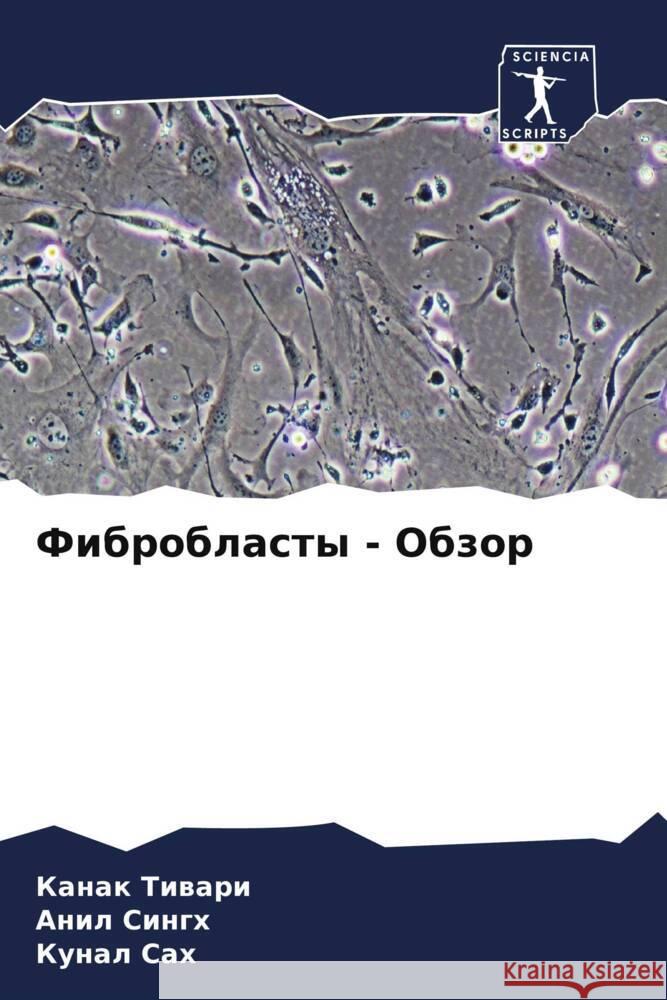 Fibroblasty - Obzor Tiwari, Kanak, Singh, Anil, Sah, Kunal 9786204377100 Sciencia Scripts