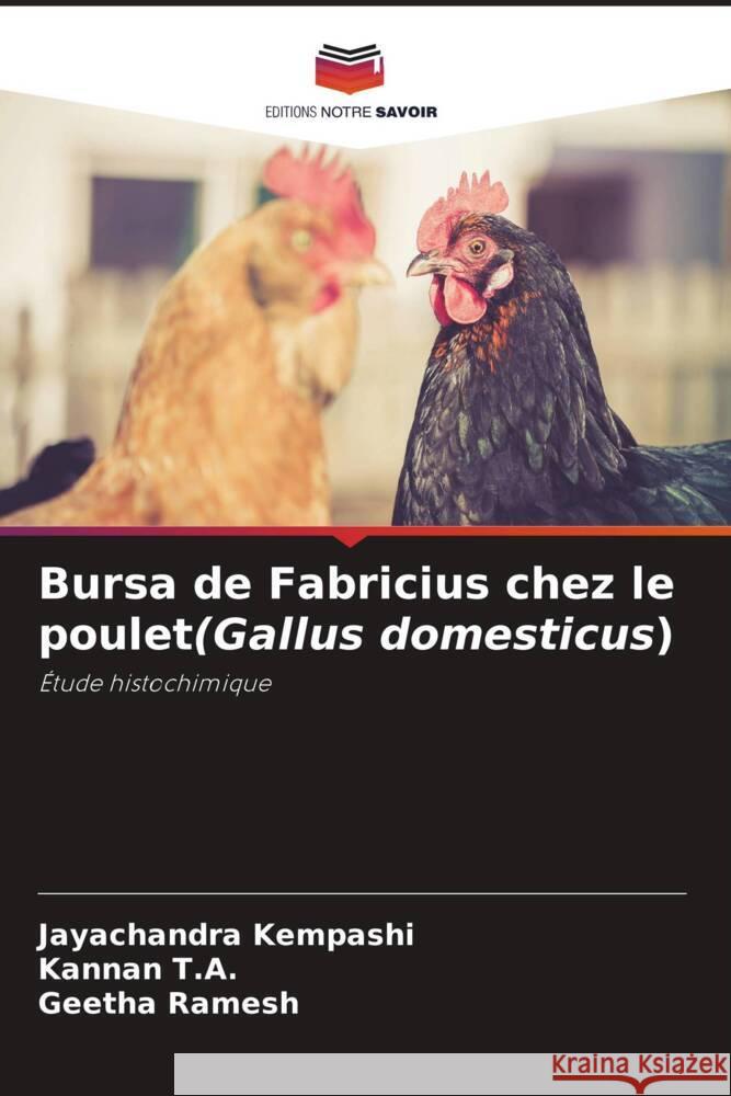 Bursa de Fabricius chez le poulet(Gallus domesticus) Kempashi, Jayachandra, T.A., Kannan, Ramesh, Geetha 9786204377209 Editions Notre Savoir