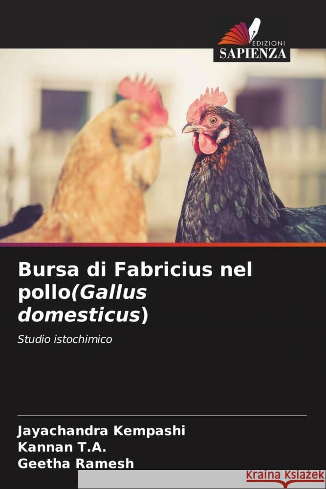 Bursa di Fabricius nel pollo(Gallus domesticus) Kempashi, Jayachandra, T.A., Kannan, Ramesh, Geetha 9786204377216 Edizioni Sapienza