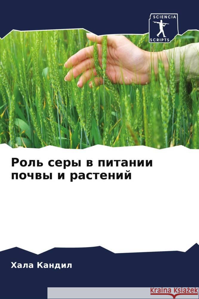 Rol' sery w pitanii pochwy i rastenij Kandil, Hala 9786204378008 Sciencia Scripts