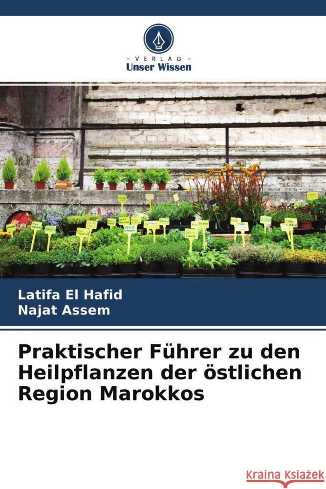 Praktischer Führer zu den Heilpflanzen der östlichen Region Marokkos El Hafid, Latifa, Assem, Najat 9786204382128