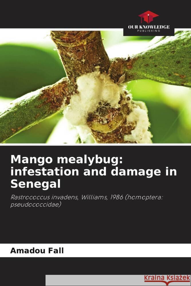 Mango mealybug: infestation and damage in Senegal Fall, Amadou, Toure, Mamour, Ndiaye, Mady 9786204413310