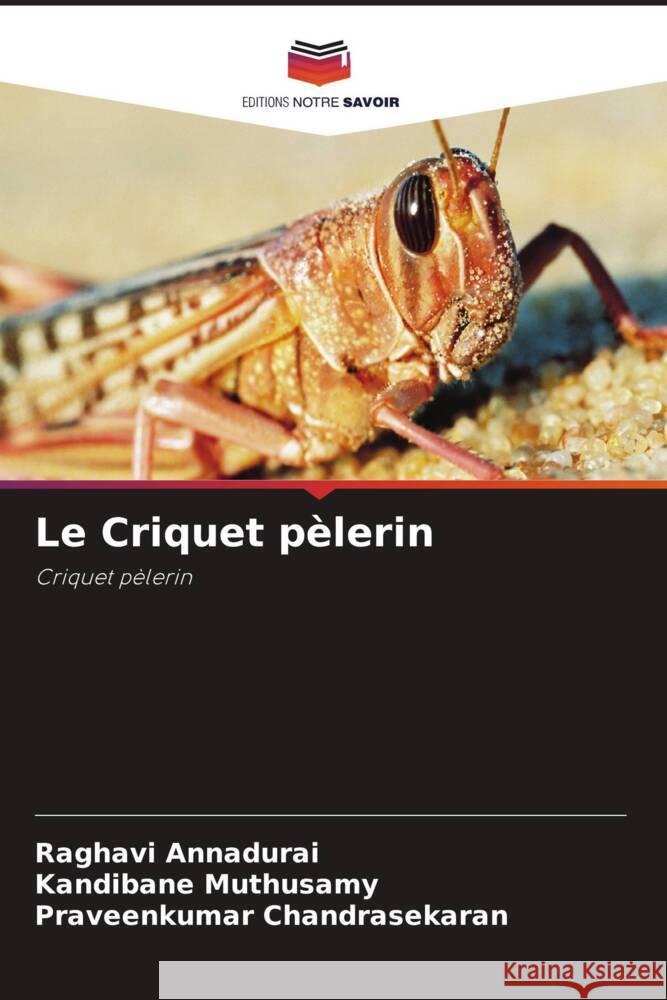 Le Criquet pèlerin Annadurai, Raghavi, Muthusamy, Kandibane, Chandrasekaran, Praveenkumar 9786204414768 Editions Notre Savoir