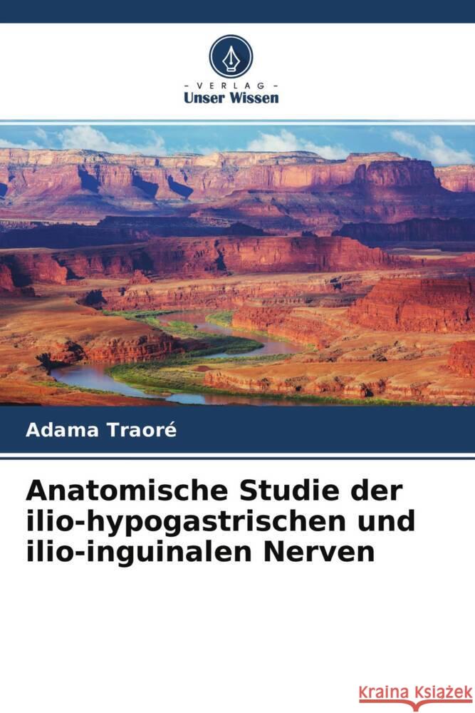 Anatomische Studie der ilio-hypogastrischen und ilio-inguinalen Nerven Traore, Adama, Ongoïba, Nouhoum, Ba, Abou Baye 9786204415758 Verlag Unser Wissen