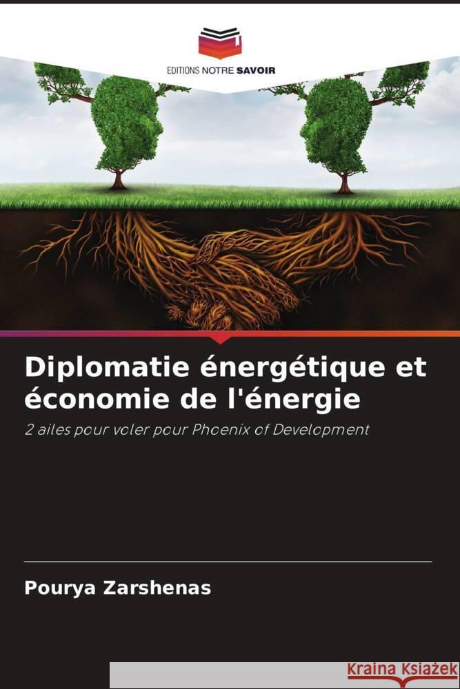 Diplomatie énergétique et économie de l'énergie Zarshenas, Pourya 9786204480121 Editions Notre Savoir