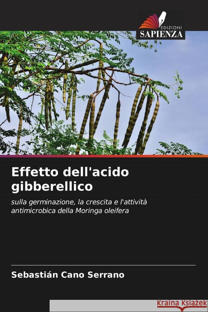 Effetto dell'acido gibberellico Cano Serrano, Sebastián 9786204483405 Edizioni Sapienza