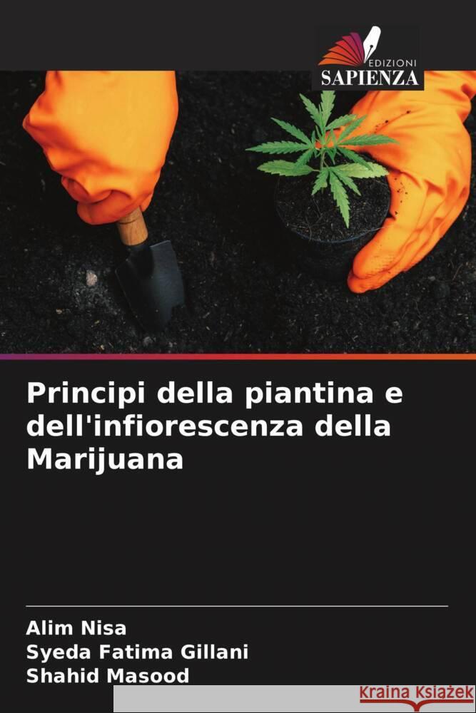 Principi della piantina e dell'infiorescenza della Marijuana Nisa, Alim, Gillani, Syeda Fatima, Masood, Shahid 9786204494111 Edizioni Sapienza