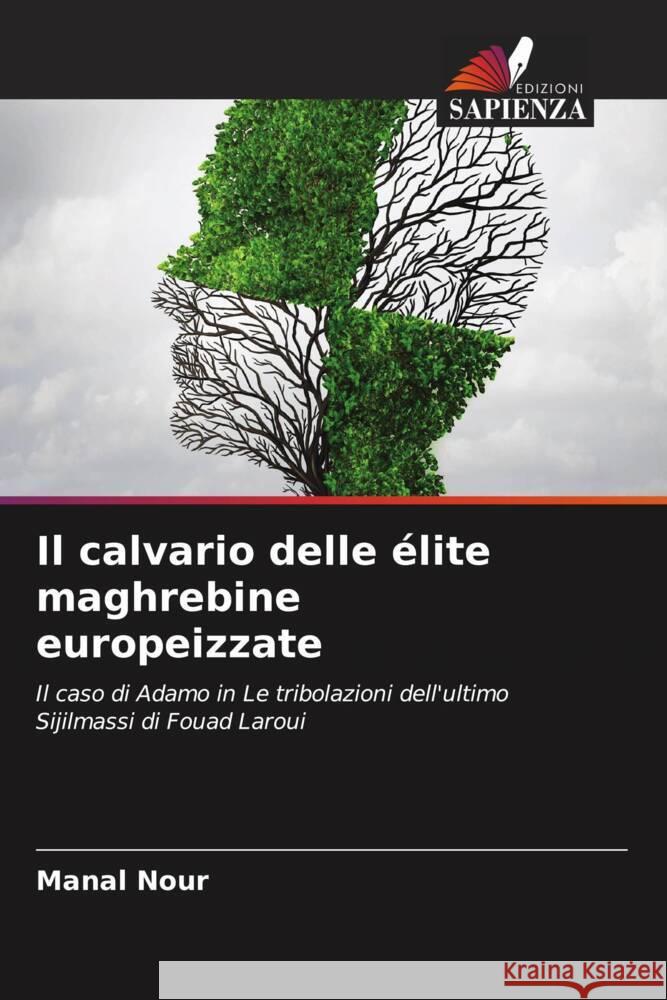 Il calvario delle élite maghrebine europeizzate Nour, Manal 9786204500959