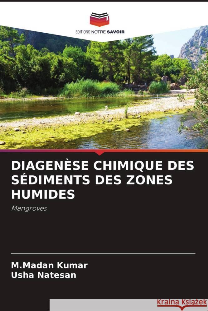 DIAGENÈSE CHIMIQUE DES SÉDIMENTS DES ZONES HUMIDES Kumar, M.Madan, Natesan, Usha 9786204505978