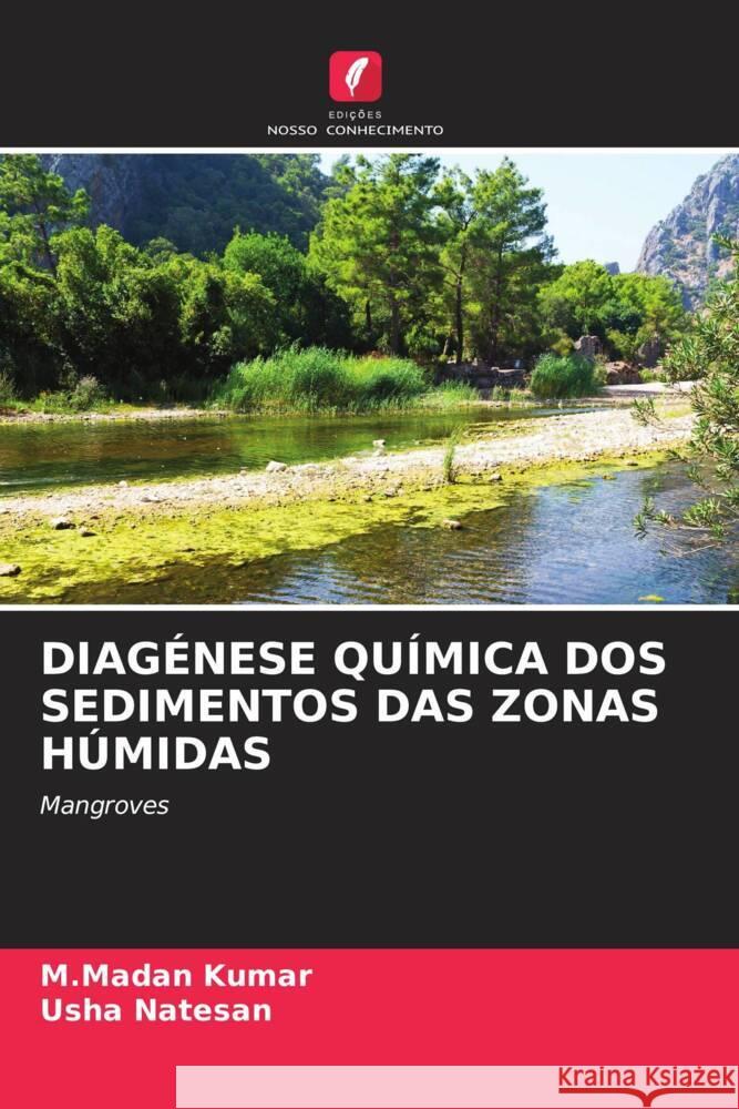 DIAGÉNESE QUÍMICA DOS SEDIMENTOS DAS ZONAS HÚMIDAS Kumar, M.Madan, Natesan, Usha 9786204505992 Edições Nosso Conhecimento