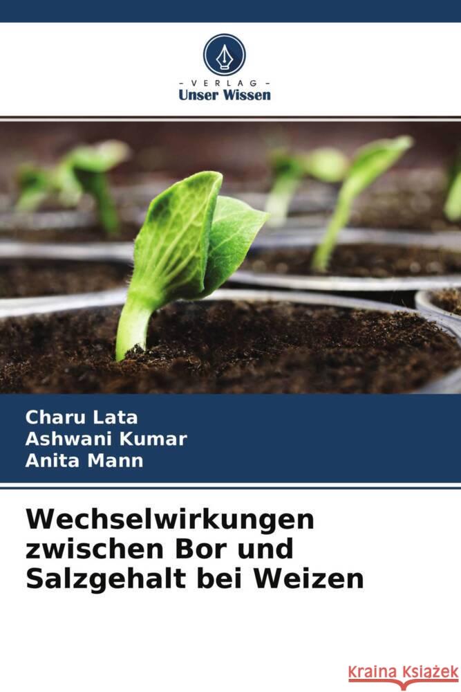 Wechselwirkungen zwischen Bor und Salzgehalt bei Weizen Lata, Charu, Kumar, Ashwani, Mann, Anita 9786204512808 Verlag Unser Wissen